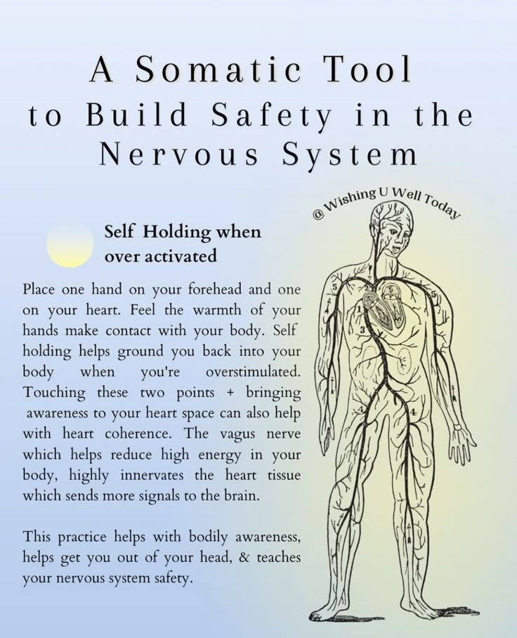 The Power Of Breath, What Is Somatic Healing, Somatic Healing Quotes, Healing Nervous System, Dorsal Vagal Shutdown, Vagus Nerve Exercise, Somatic Healing Exercises, Somatic Meditation, Vagus Nerve Healing