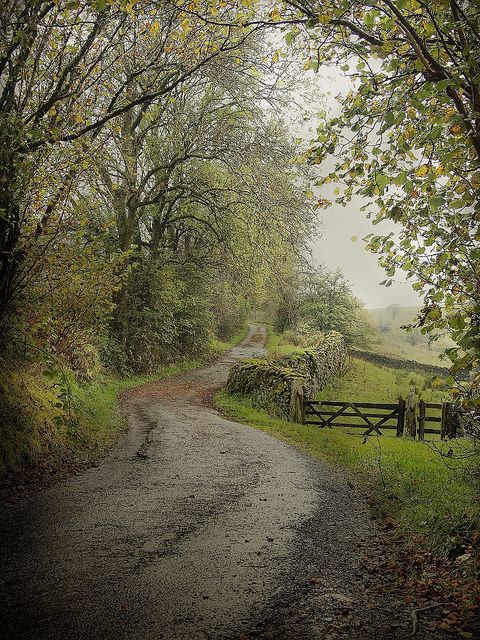 a dirt road surrounded by trees and grass