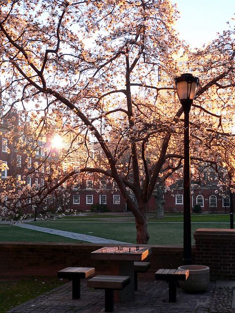 the sun shines brightly through the trees in front of an old brick building and park bench