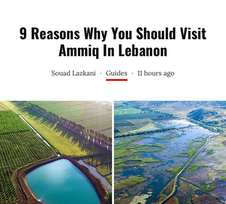 an aerial view of some water and land with the words 9 reasons why you should visit ammi in lebanon