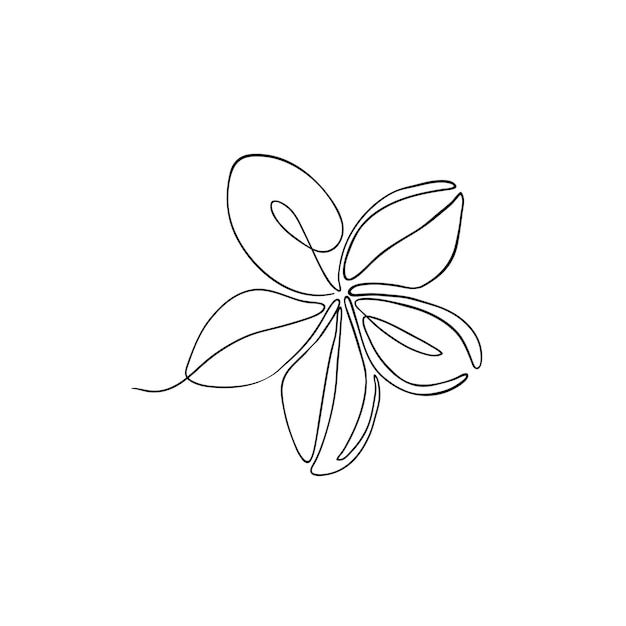 the outline of a flower on a white background