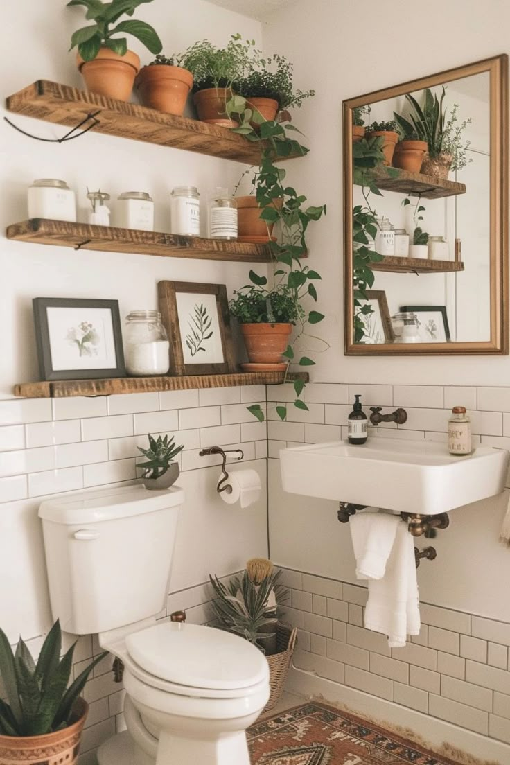 a white toilet sitting next to a sink in a bathroom under two wooden shelves filled with potted plants