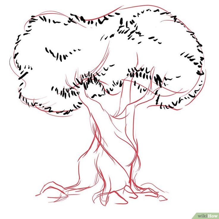 a drawing of a tree with lots of branches