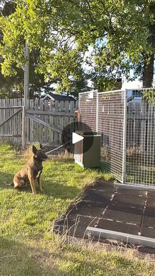 a dog sitting in the grass next to a fence with a gate on it's side