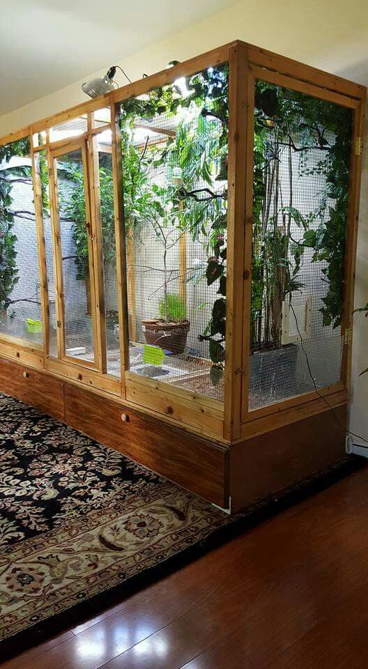 a cage with plants in it sitting on top of a wooden floor next to a rug