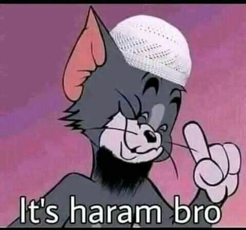 an image of a cartoon character with the caption it's haram bro