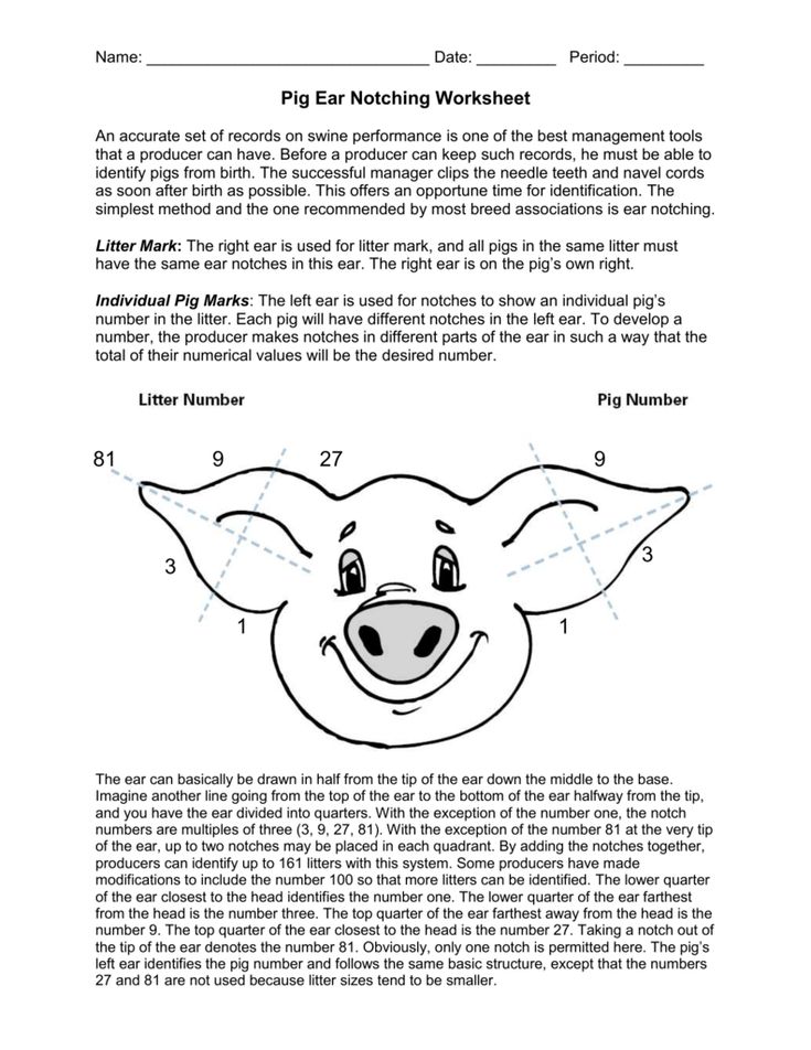 a pig face worksheet with numbers to make it look like he is smiling