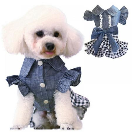 a small white dog wearing a blue dress and jacket with gingham checks on it