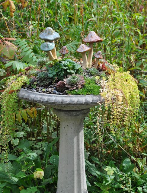 a bird bath with mushrooms and plants in it