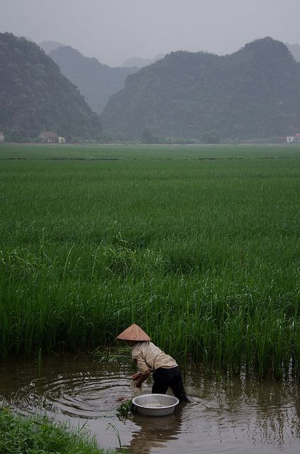 a person is wading in the water with an umbrella over their head and holding a basket