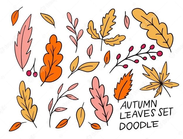 the autumn leaves set doodle