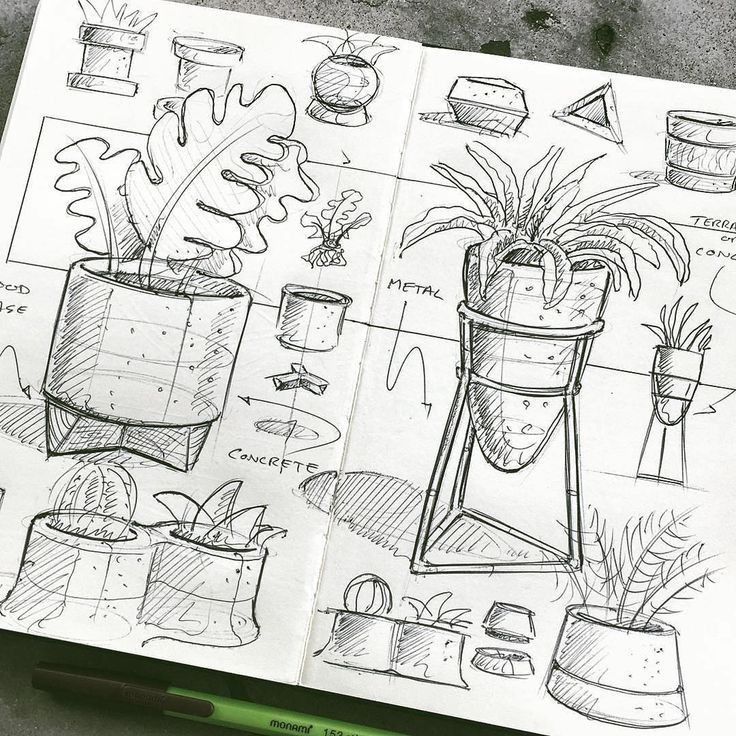 an open notebook with drawings on it and some potted plants in the middle,