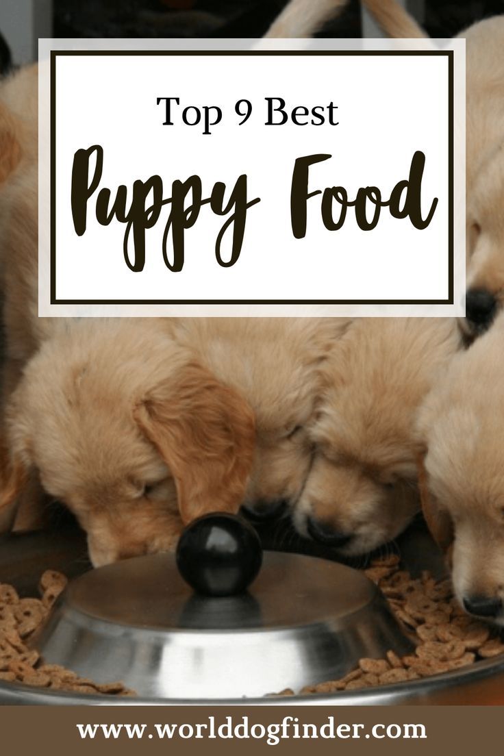 three puppies sleeping on top of a food dish with the words top 9 best puppy food