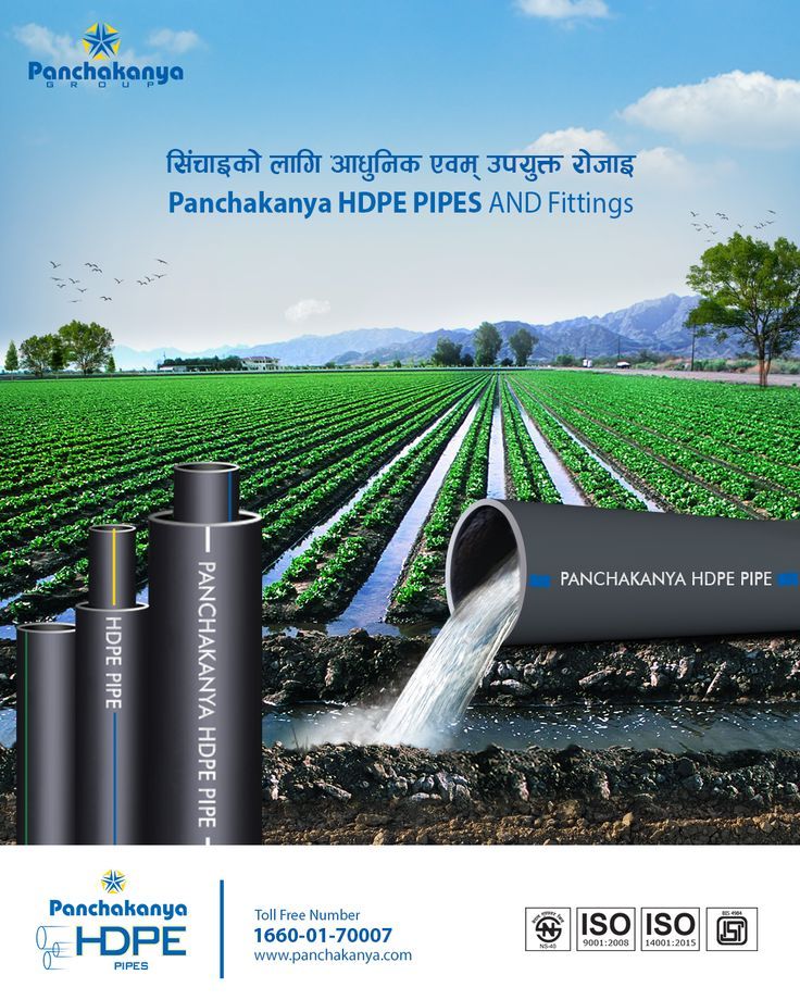 an advertisement for the panchanana ppe and filting plant in india