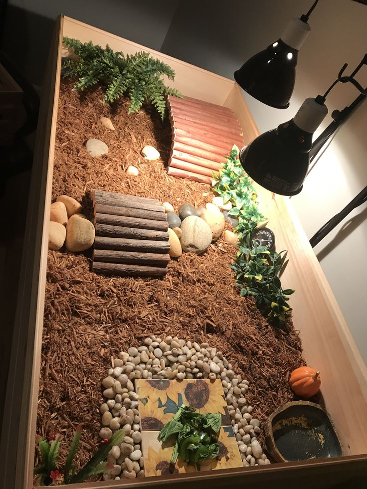 a wooden box filled with lots of rocks and plants next to a light fixture on the wall