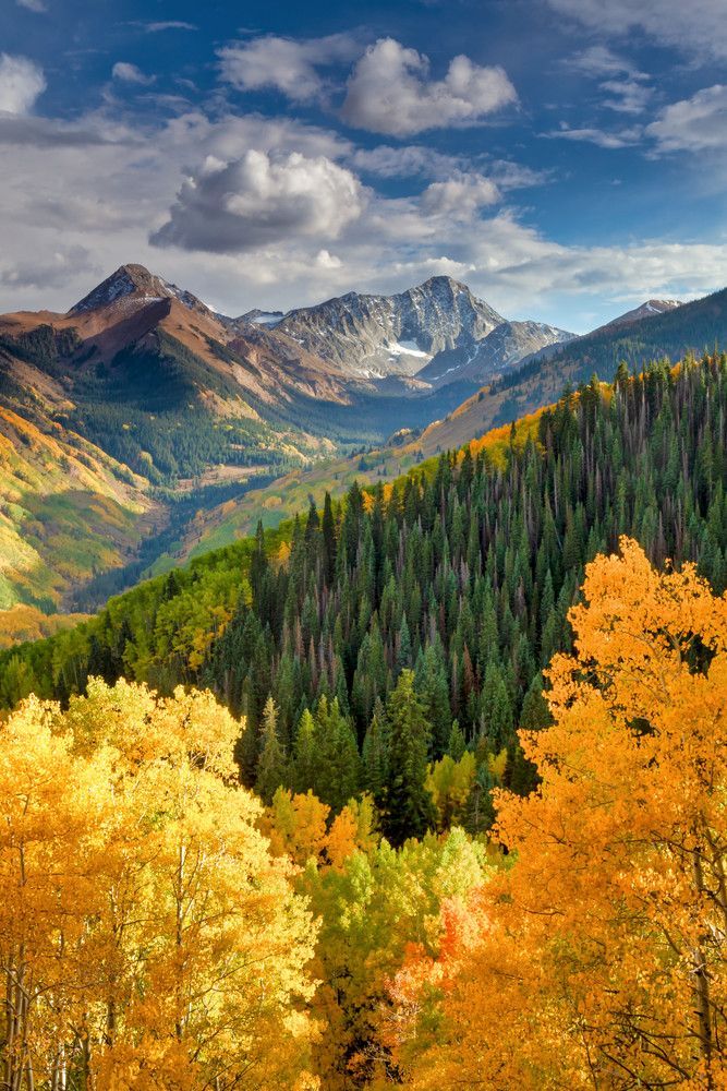 the mountains are covered with trees and yellow leaves in fall colors, as well as snow capped peaks