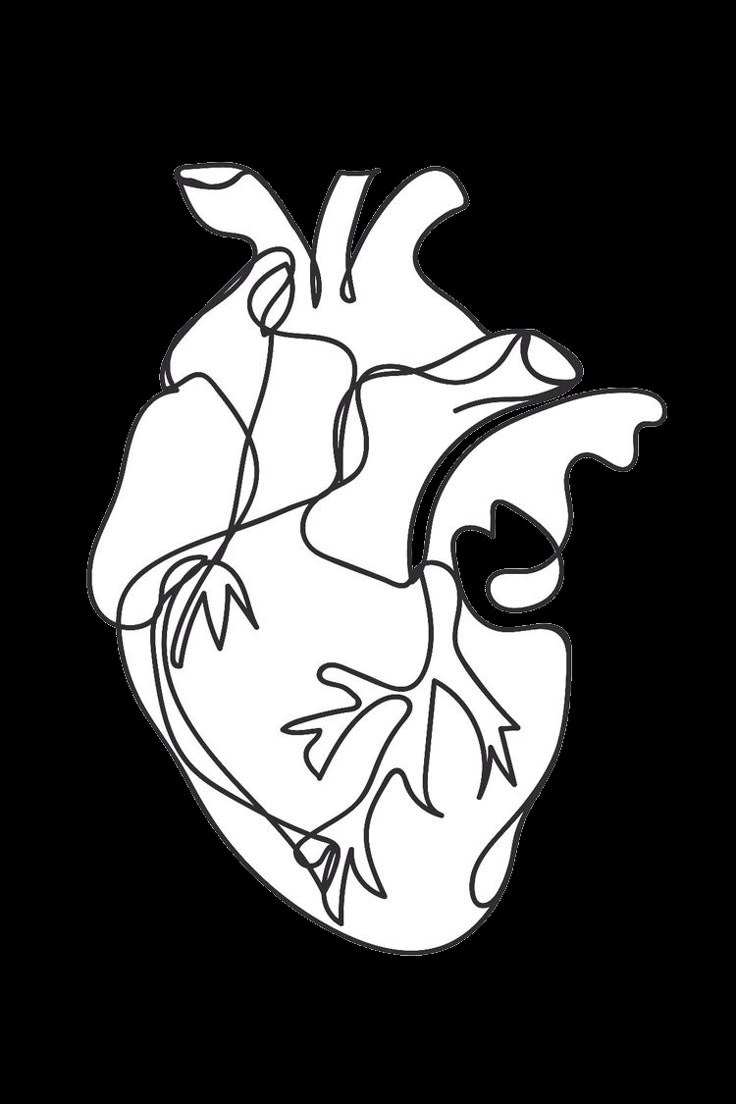 a drawing of the human heart in black and white, with one line drawn to it's left side