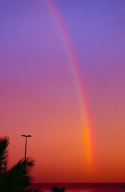 a rainbow is seen in the sky over water and palm trees at sunset or dawn