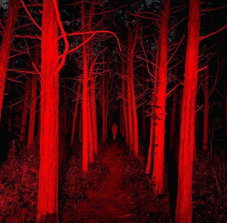 a person standing in the middle of a forest with red light coming from their eyes