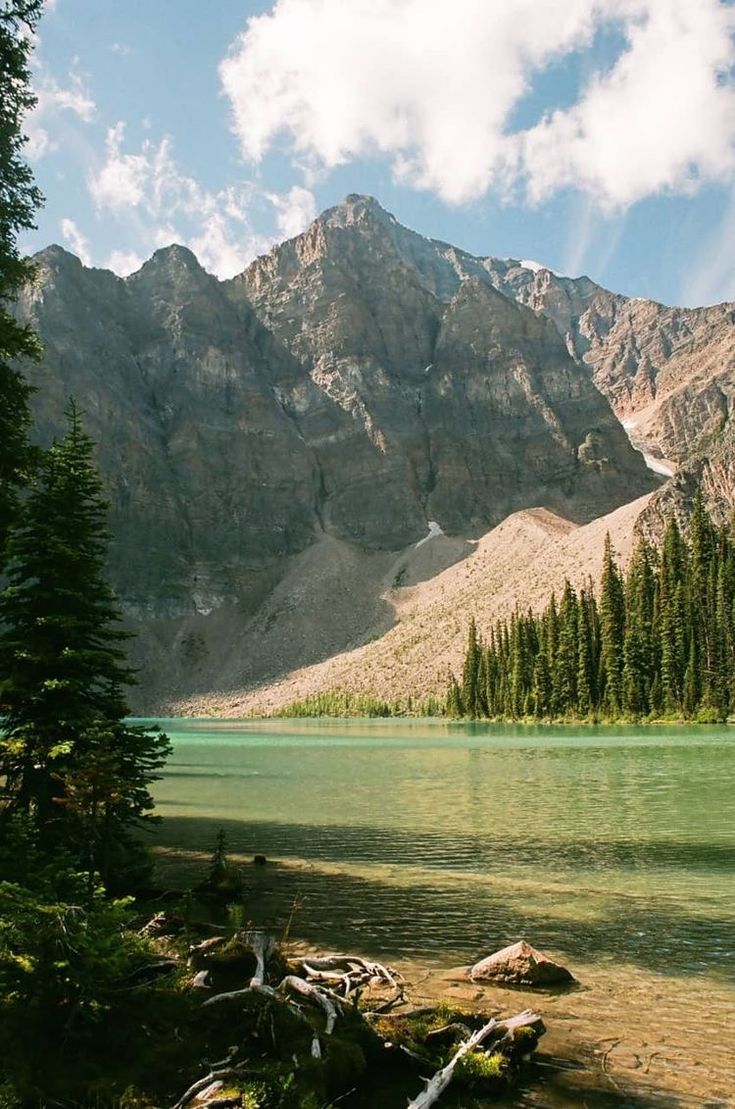 there is a mountain range in the background with water and trees on the ground near it