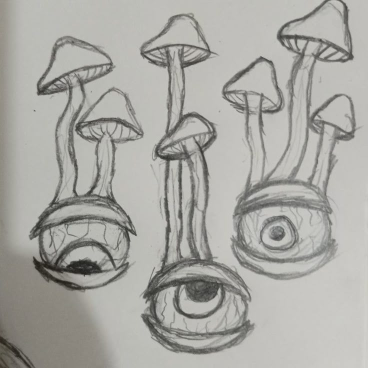 the drawing shows three different types of mushrooms and eyes, with one being drawn in pencil