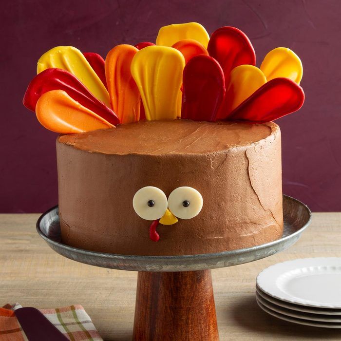 a chocolate cake decorated to look like a turkey