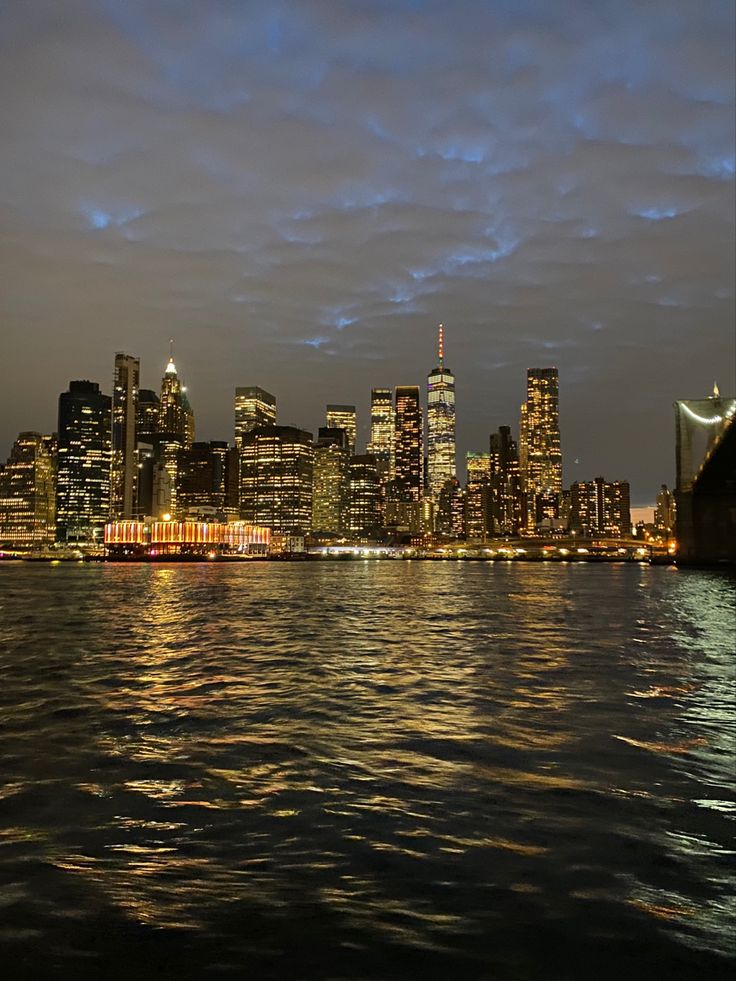 the city skyline is lit up at night as seen from across the water in this photo