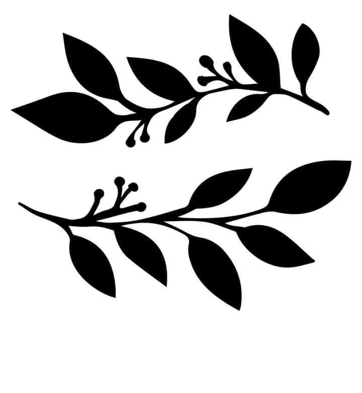 black and white silhouettes of leaves on a tree branch, with the word's name