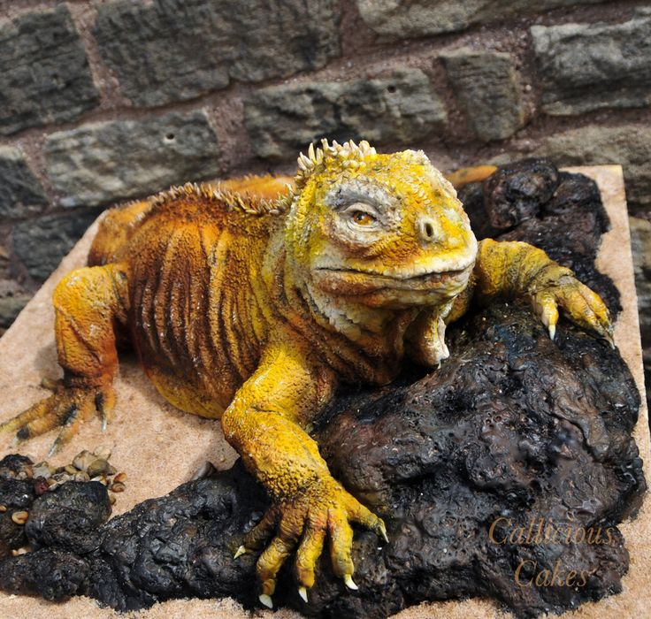 an iguana sitting on top of a rock next to a brick wall