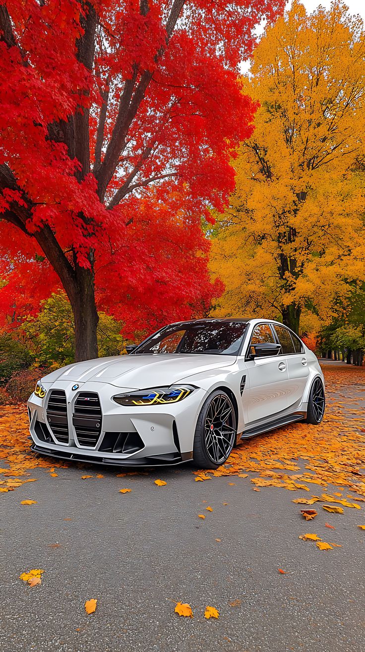 a white car parked on the side of a road in front of trees with red and yellow leaves