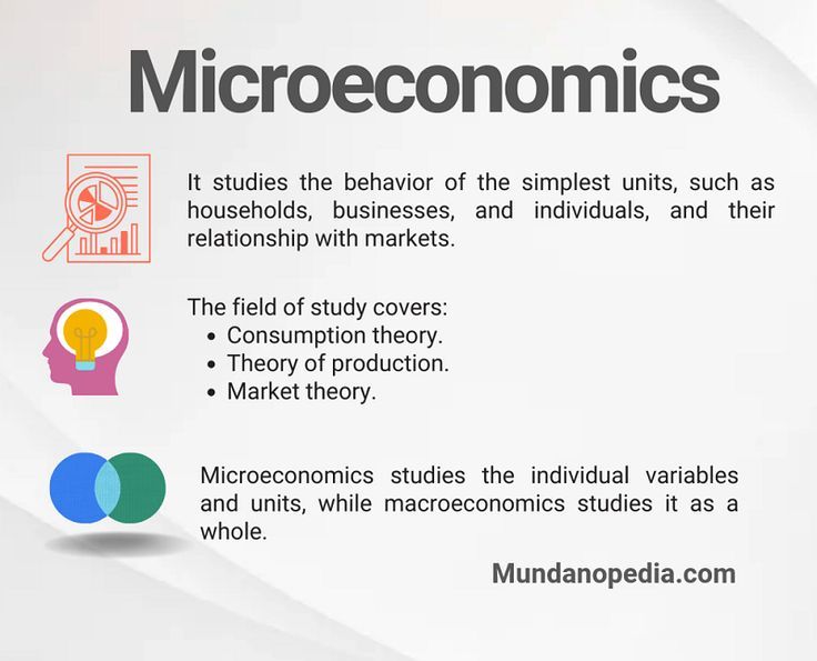 Microeconomics Aesthetic, Microeconomics Study, Economics Notes, Accounting Career, Bio Quotes, Study Inspiration, The Study, Economics, Accounting