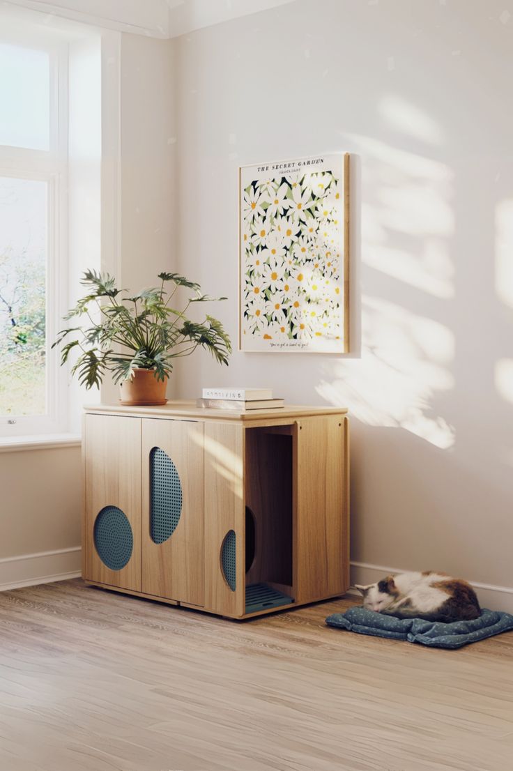 a cat laying on top of a rug next to a wooden cabinet in a room