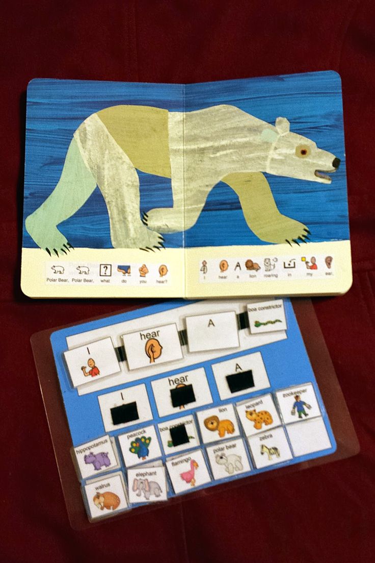 the polar bear is on display next to its matching board game, which includes pictures of animals and letters