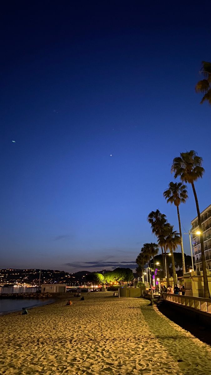 the beach is lit up at night with palm trees and buildings in the background,