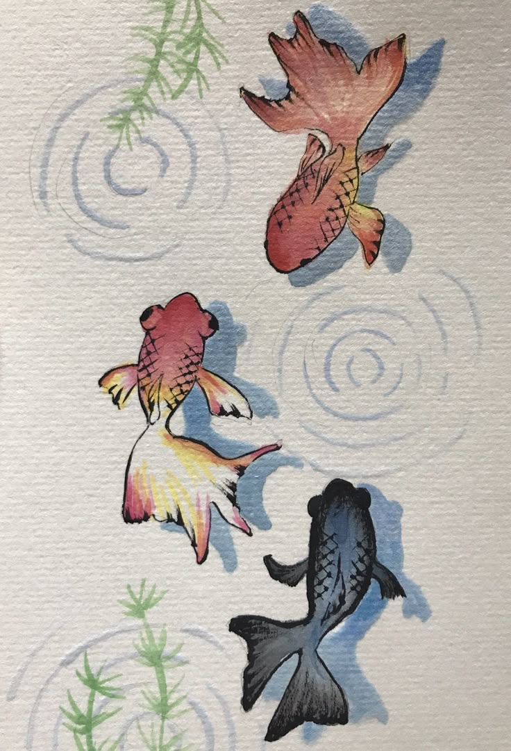 three fish are swimming in the water