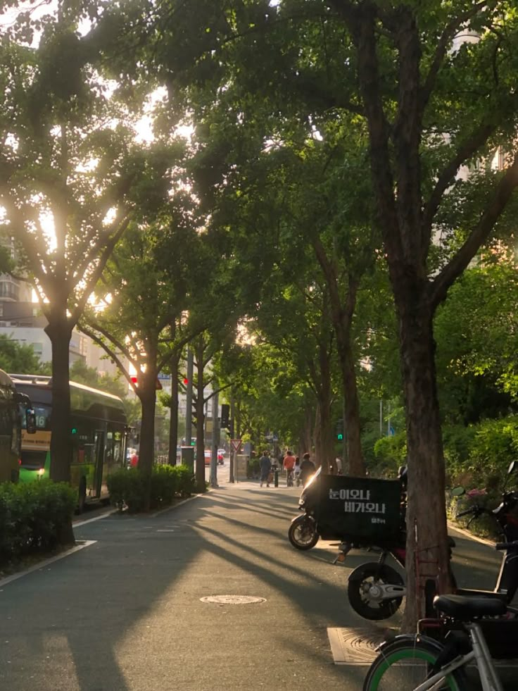 the sun shines through the trees on an empty street with parked motorcycles and bicycles