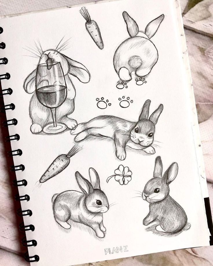 an open notebook with drawings of rabbits and carrots