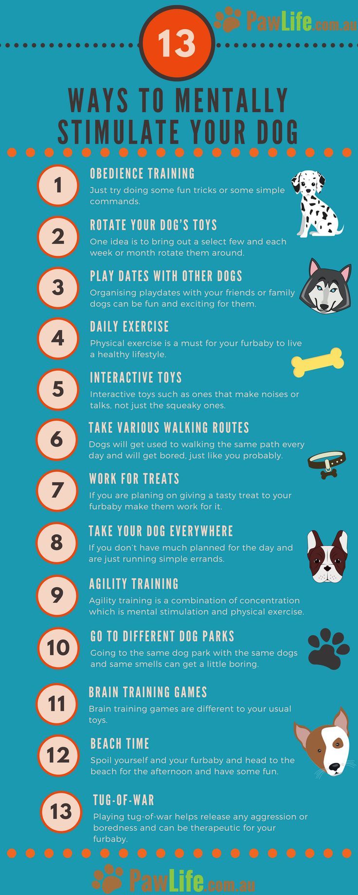 the ultimate guide to mental training for dogs and cats info sheet with instructions on how to use