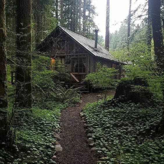 a wooden cabin in the woods surrounded by tall trees and greenery, with a pathway leading to it