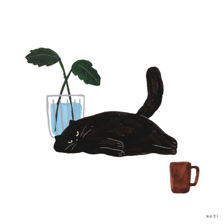 a black cat laying on its back next to a cup with a plant in it