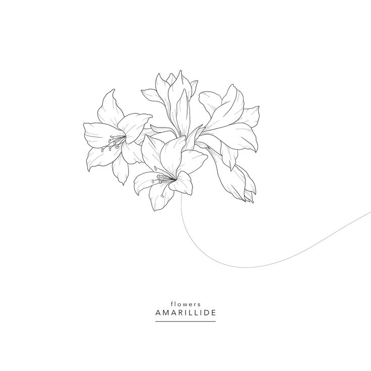 a black and white drawing of flowers with the words flower amarbella written below it