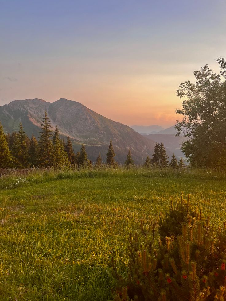 the sun is setting in the mountains with green grass and flowers on the foreground