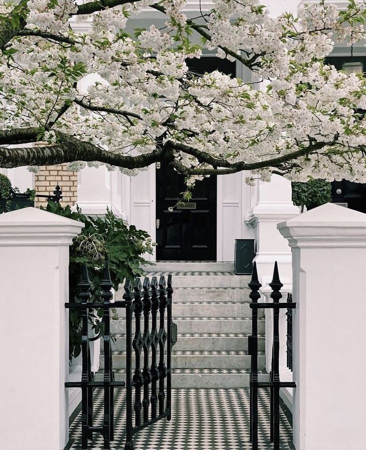 a black and white checkered floor with stairs leading up to the front door is surrounded by flowering trees