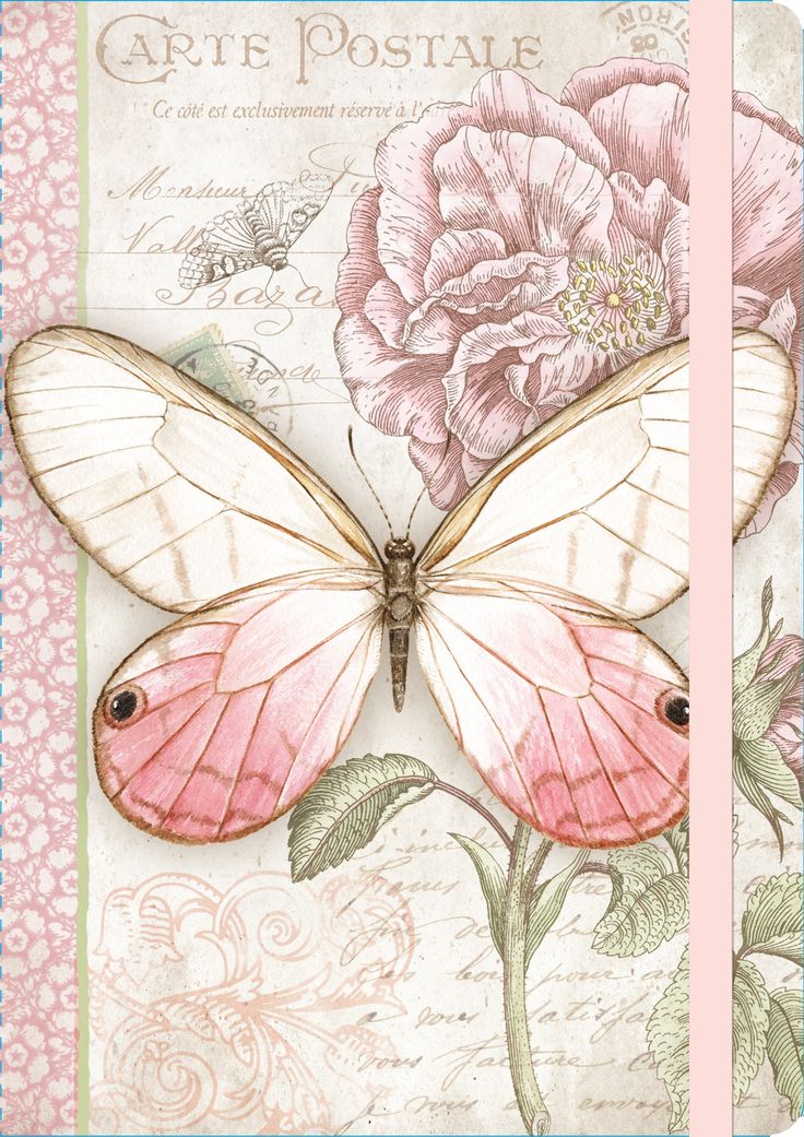 a pink butterfly sitting on top of a flower next to a piece of paper with writing