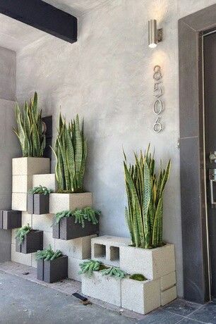 some plants are sitting on cinder blocks in front of a door