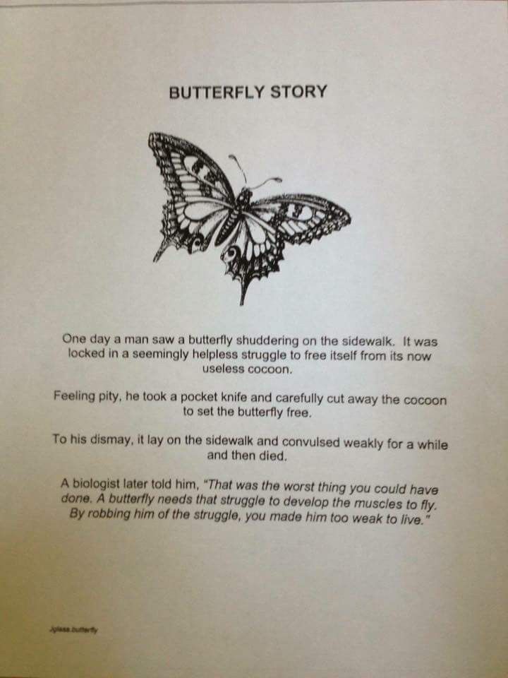 the butterfly story is written in black and white on a piece of paper with writing underneath it