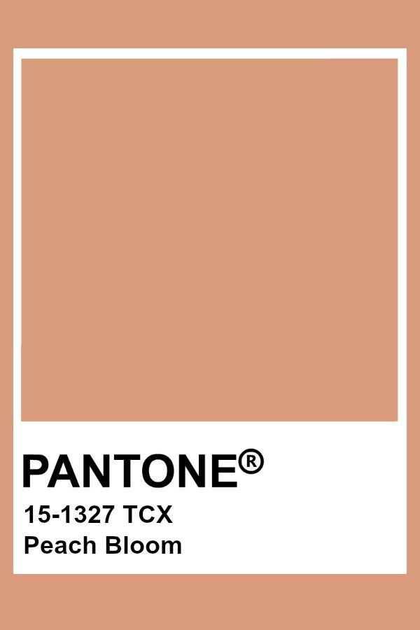 the pantonee peach bloom color is shown