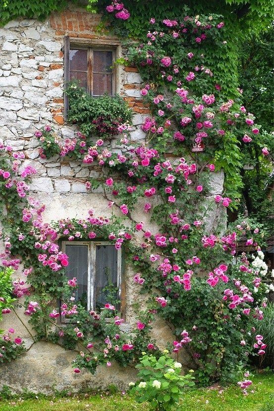 an old stone house with pink flowers growing on it's side and windows covered in ivy