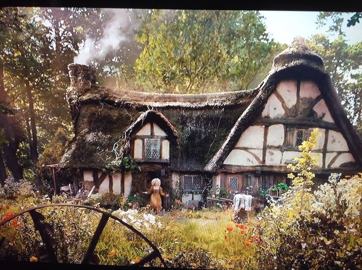 an old house with a thatched roof in the woods