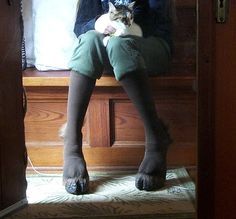 a person sitting on a bench with a cat in their lap and wearing knee high socks